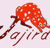 Jajirdi Consultants - Schools Australia