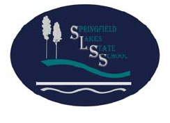 Springfield Lakes State School Springfield