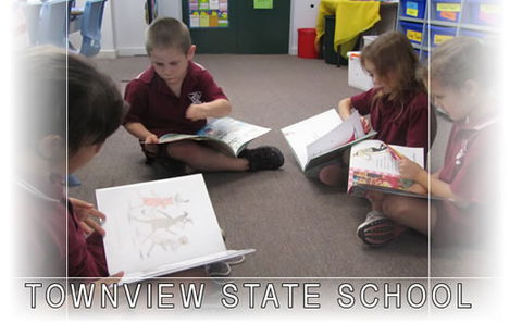 Townview State School - Schools Australia 0