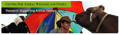 Centre For Animal Welfare And Ethics - Schools Australia 0
