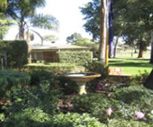 Rostrata Primary School - Schools Australia 2