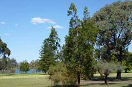 Lake Monger Primary School Wembley