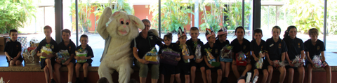 St Francis Of Assisi Catholic Primary - Schools Australia 3
