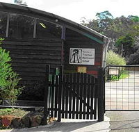 Treetops Montessori Primary School - Schools Australia