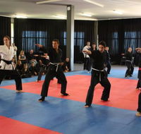 Wyatt's MMA - Schools Australia