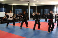 Wyatt's MMA