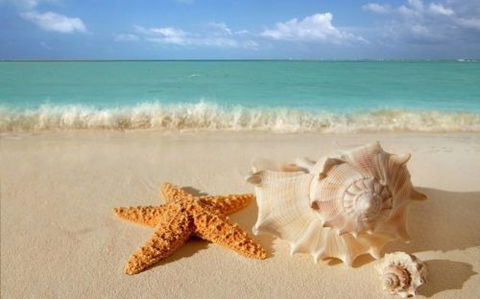 KaHuna Bodyworks School Of Massage & Energy Healing - Schools Australia 1