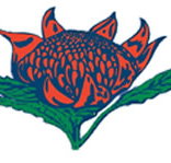 Hurstville South Public School - Schools Australia