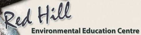 Two Mile Flat NSW Schools Australia