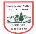 Cudgegong Valley Public School - Schools Australia