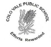 Colo Vale Public School - Schools Australia 0