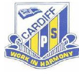 Cardiff Public School - Schools Australia