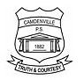 Camdenville Public School - Schools Australia