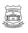 Camdenville Public School - Schools Australia 0