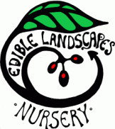 Northey Street City Farm - Schools Australia 1