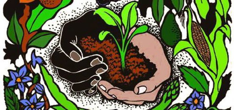 Northey Street City Farm - Schools Australia 7