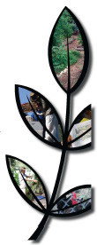 Northey Street City Farm - Schools Australia 8