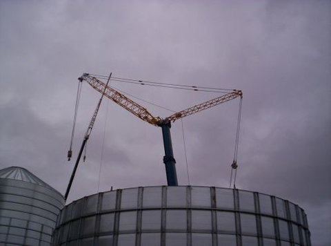 Forward Assessing - Schools Australia 2