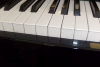 Private Piano Tutor