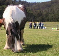 Unbridled Results - Schools Australia