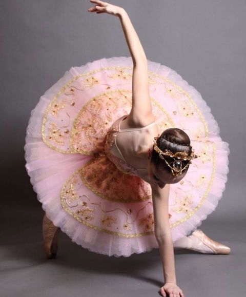 Leisa Payne School Of Dance - Schools Australia 2