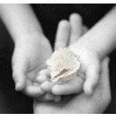 Castlecrag Montessori School - Schools Australia 0