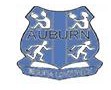 Auburn Public School Auburn