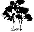 Samuel Gilbert Public School  - Schools Australia