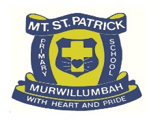 Mt St Patrick Primary School  - Schools Australia 0