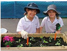 Galilee Catholic Primary School - Schools Australia 5
