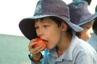 St Michael's Primary School Stanmore - Schools Australia 4