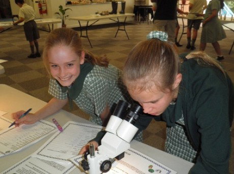 Berowra Christian Community School - Schools Australia 5