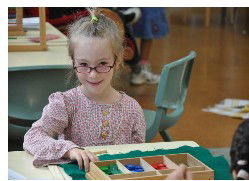 Sutherland Shire Montessori School - Schools Australia 1