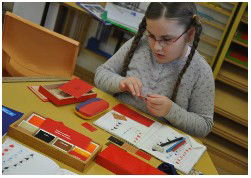 Sutherland Shire Montessori School - Schools Australia 5