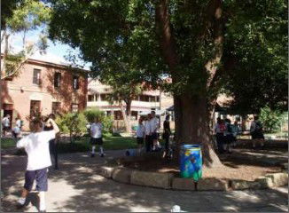 All Saints College St Peter's Campus - Schools Australia 2