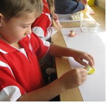 Holy Family Primary School Luddenham - Schools Australia 2