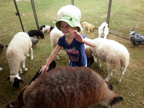 Eastside Little Learners Child Care Centre - Schools Australia 1