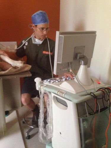 Pacific Vetcare - Schools Australia 1