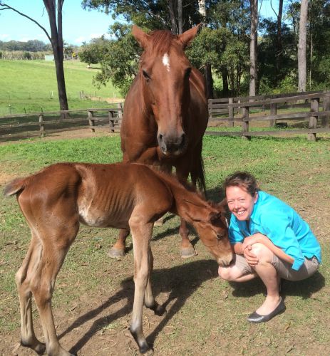 Pacific Vetcare - Schools Australia 5