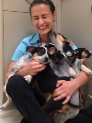 Pacific Vetcare - Schools Australia 7