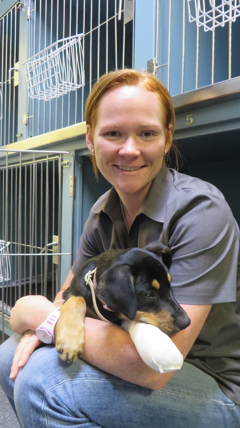 Grafton Veterinary Clinic - Schools Australia 0