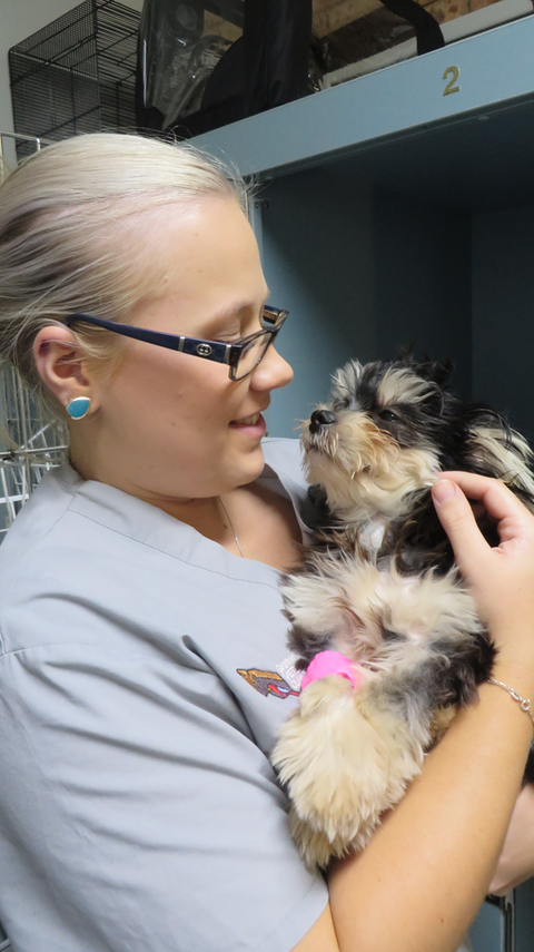 Grafton Veterinary Clinic - Schools Australia 1