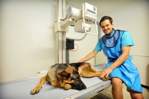 Pacific Vetcare - Schools Australia 0
