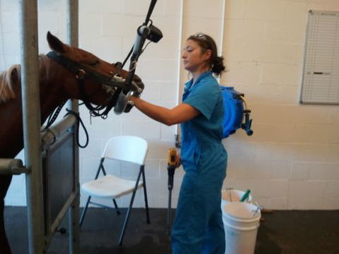 Pacific Vetcare - Schools Australia 9