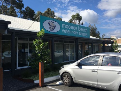Moonee Beach Veterinary Surgery Moonee Beach