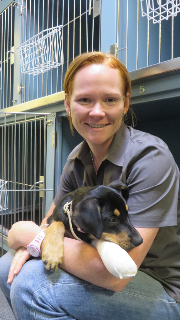 Grafton Veterinary Clinic Grafton