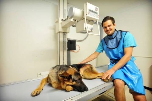 Pacific Vetcare Woolgoolga