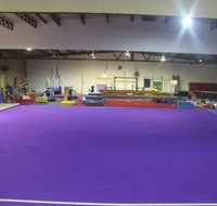Scallywaggs Gymnastics - Schools Australia
