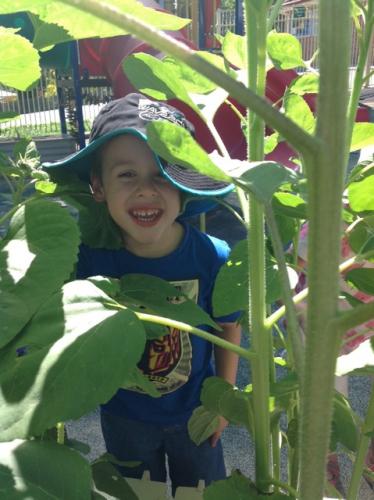 Central Gardens Childcare - Schools Australia 1