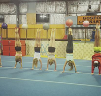 Gosford Gymnastics - Schools Australia